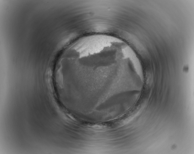 X0000102410542200808152007