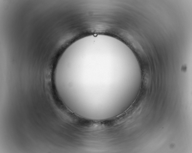 X0000102410543200808152007