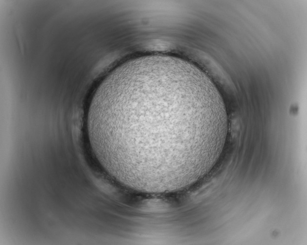 X0000102410544200808152007