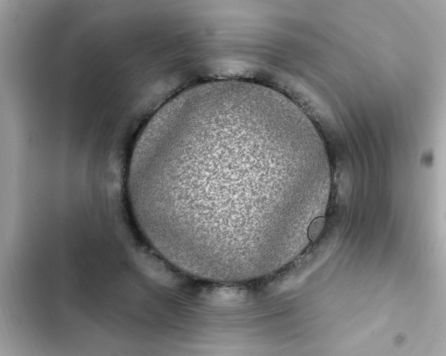 X0000102410546200808152007