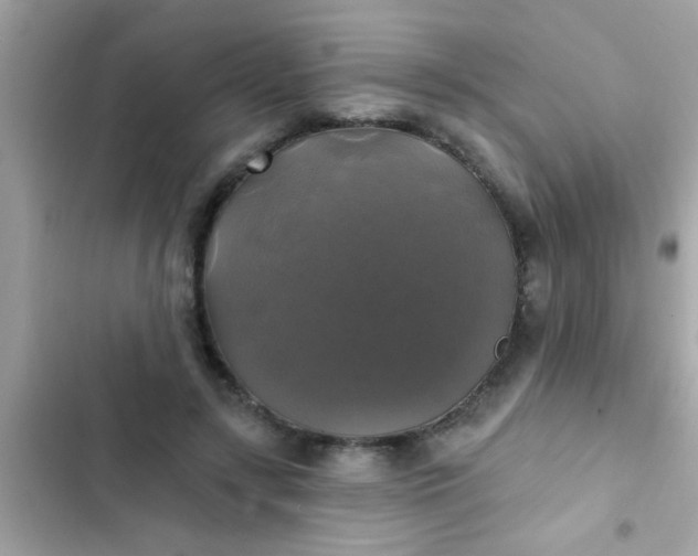 X0000102410547200808152007