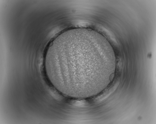 X0000102410548200808152007