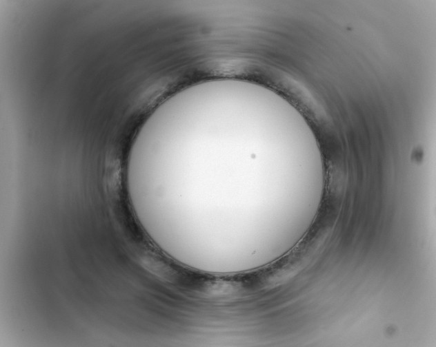 X0000102410549200808152007