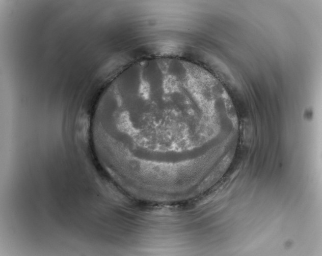 X0000102410550200808152007