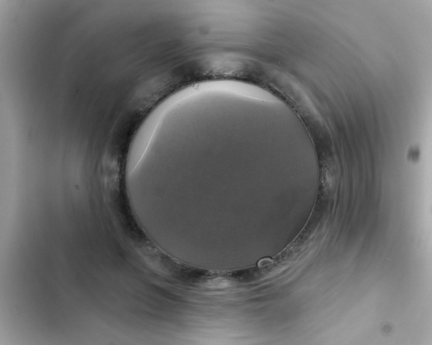 X0000102410551200808152007