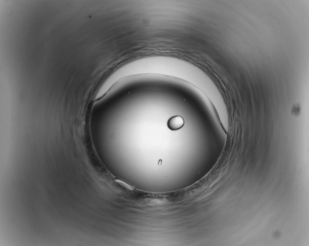 X0000102410552200808152007