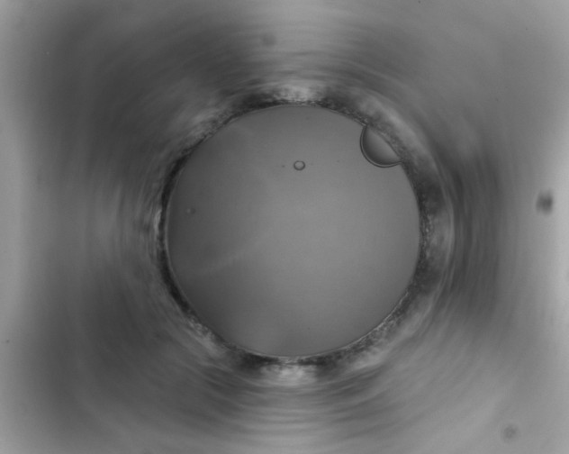 X0000102410553200808152007