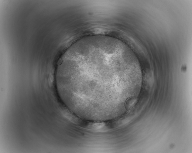 X0000102410554200808152007