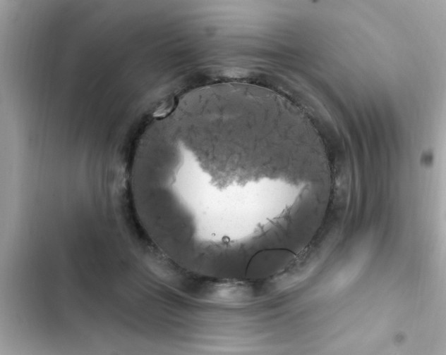 X0000102410555200808152007