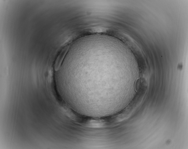 X0000102410556200808152007