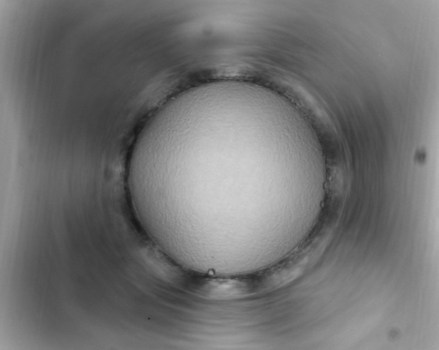 X0000102410557200808152007