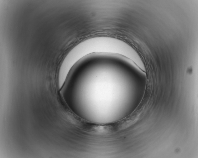 X0000102410558200808152007