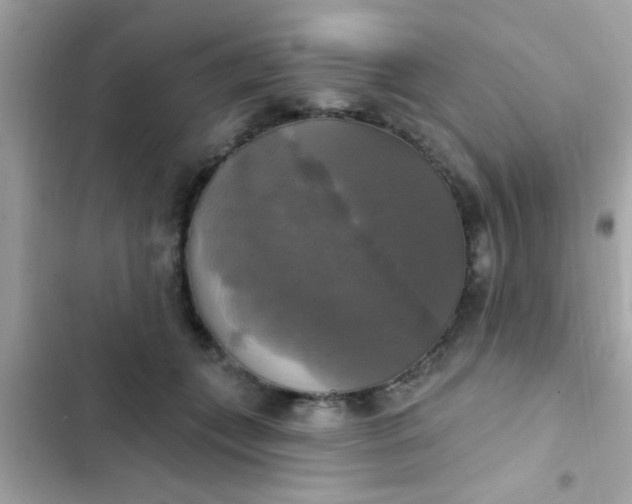 X0000102410559200808152007