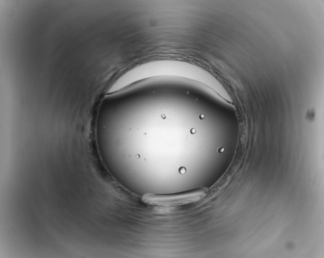 X0000102410560200808152008