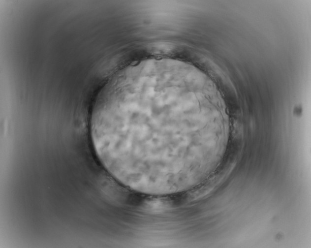 X0000102410561200808152008