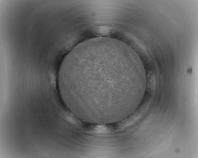 X0000102410562200808152008