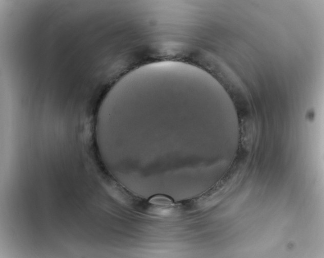 X0000102410563200808152008