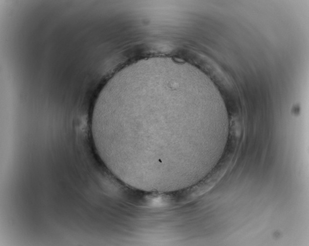 X0000102410564200808152008