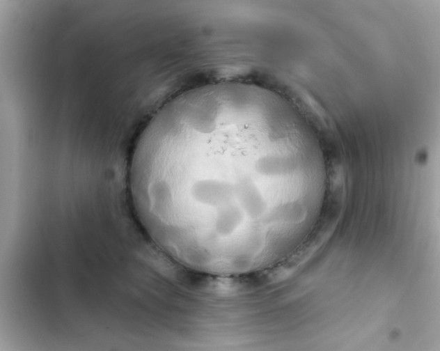 X0000102410565200808152008