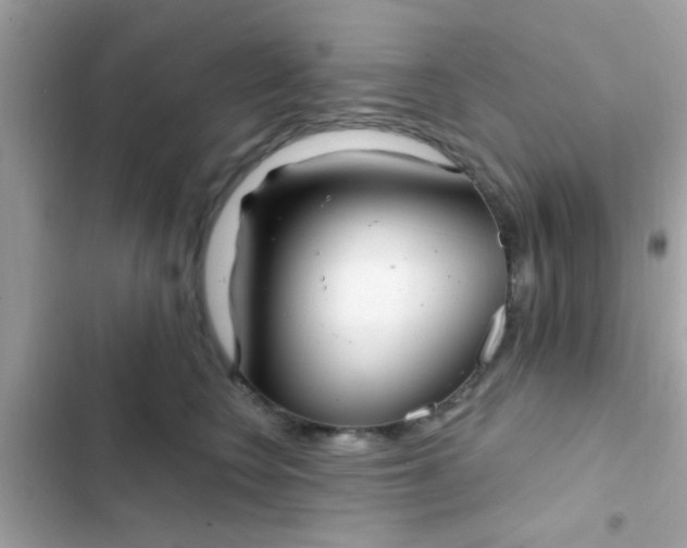 X0000102410566200808152008