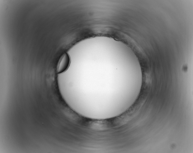 X0000102410567200808152008