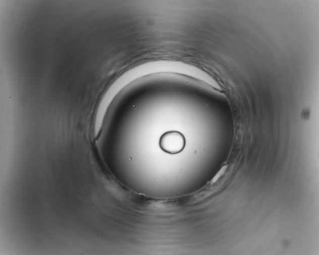 X0000102410568200808152008