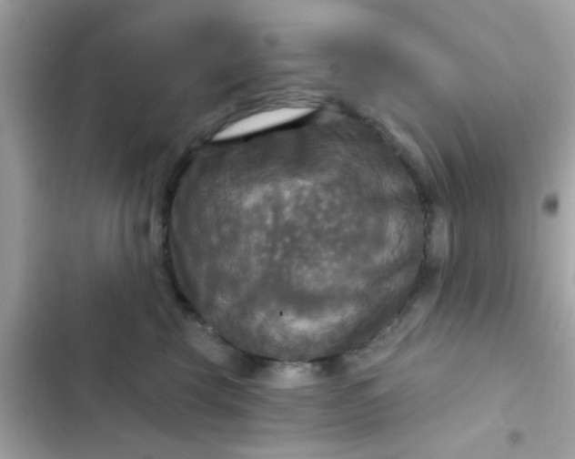 X0000102410569200808152008