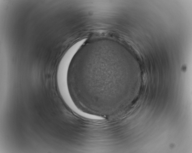 X0000102410570200808152008