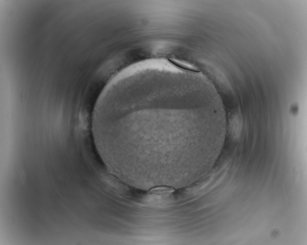 X0000102410571200808152008