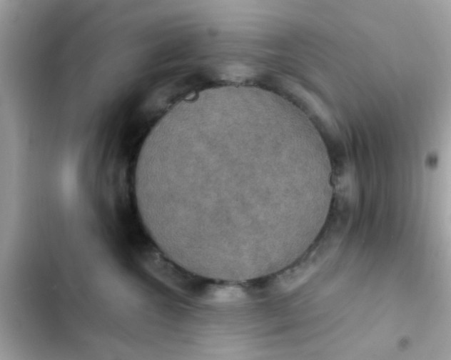 X0000102410572200808152008