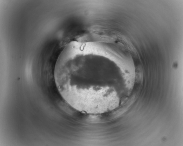 X0000102410573200808152008