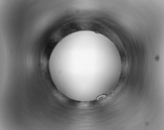 X0000102410574200808152008