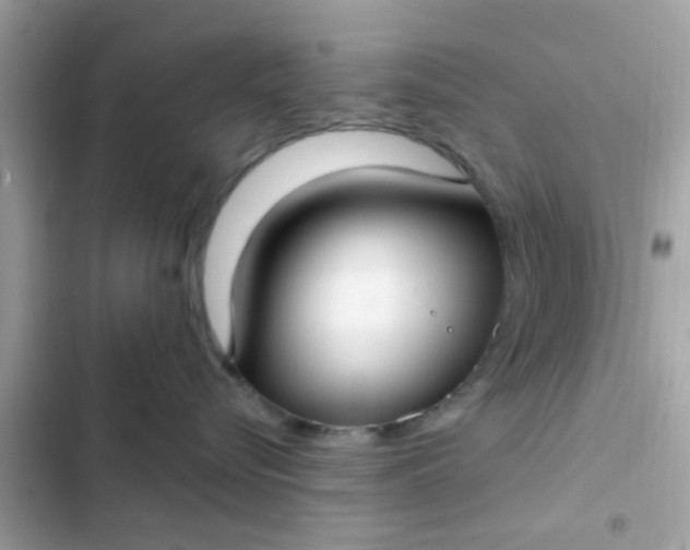 X0000102410576200808152008