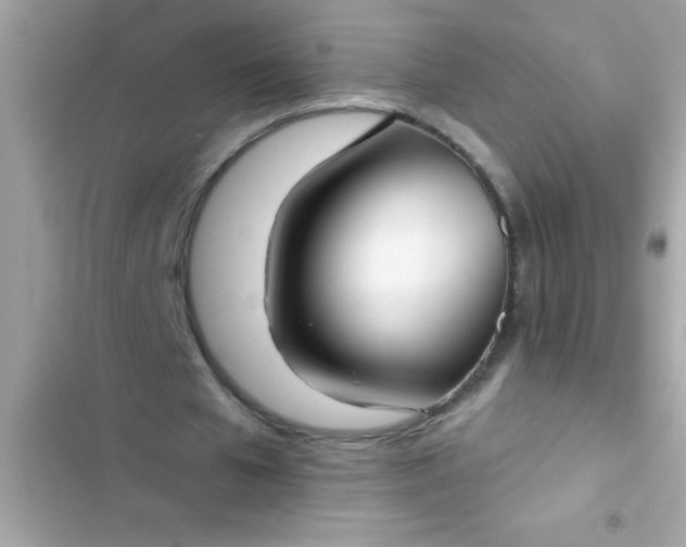 X0000102410577200808152007