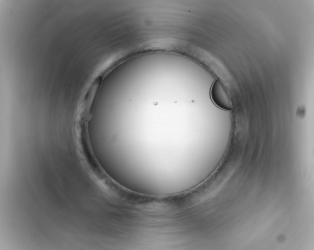 X0000102410578200808152007