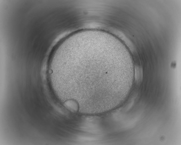 X0000102410579200808152007