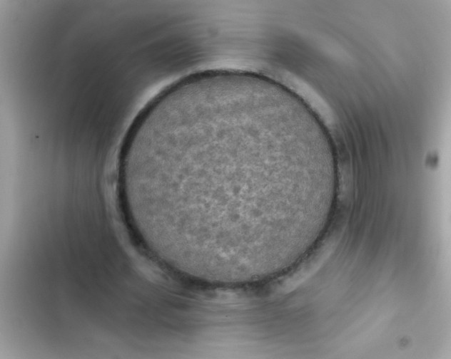 X0000102410580200808152007