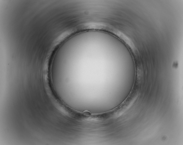 X0000102410581200808152007