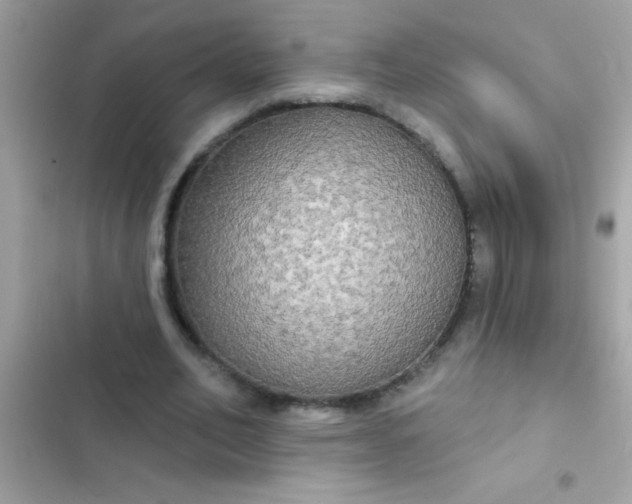 X0000102410582200808152007