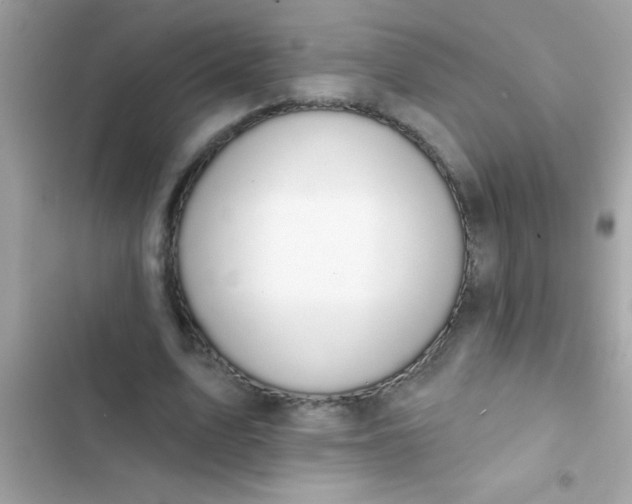 X0000102410583200808152007