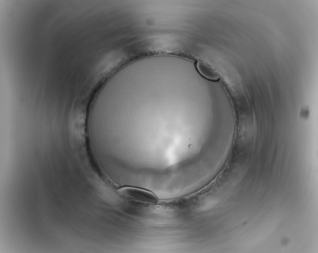 X0000102410585200808152007