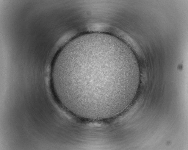 X0000102410586200808152007