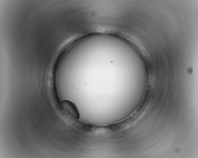 X0000102410587200808152007