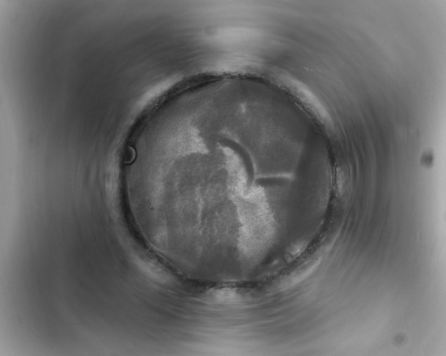 X0000102410588200808152007