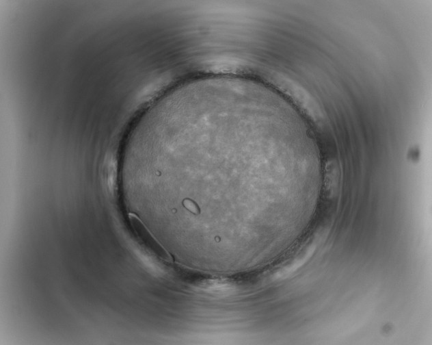 X0000102410589200808152007