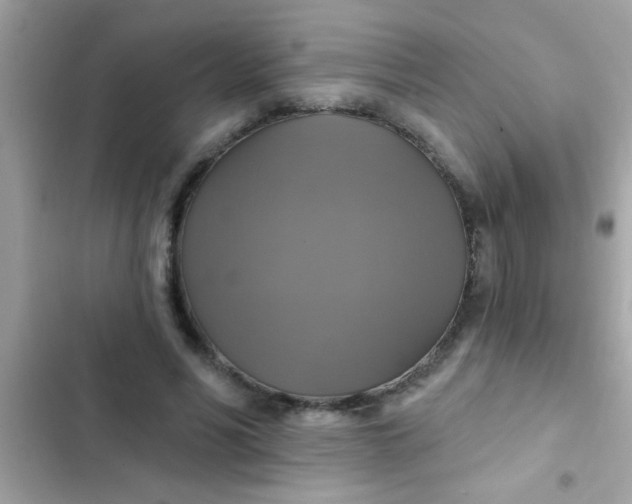 X0000102410590200808152007