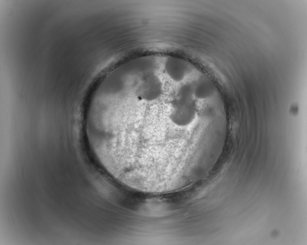 X0000102410591200808152007