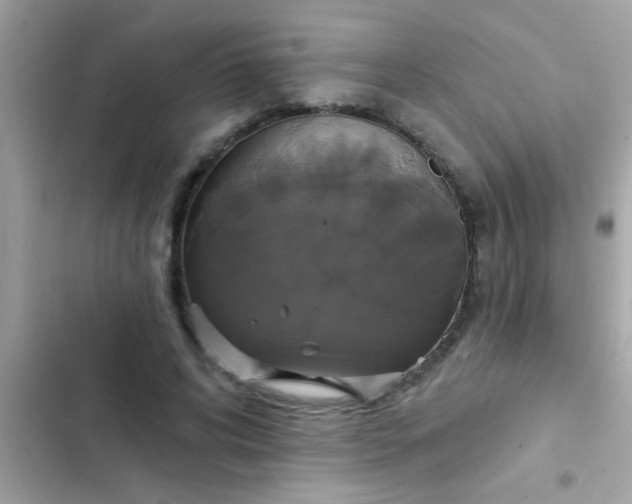 X0000102410592200808152007