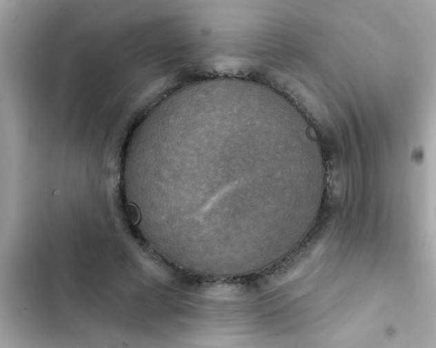 X0000102410593200808152007