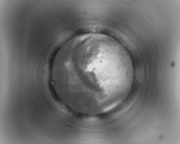 X0000102410594200808152007